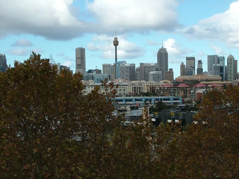 9/19 Sheehy Street, Glebe NSW 2037