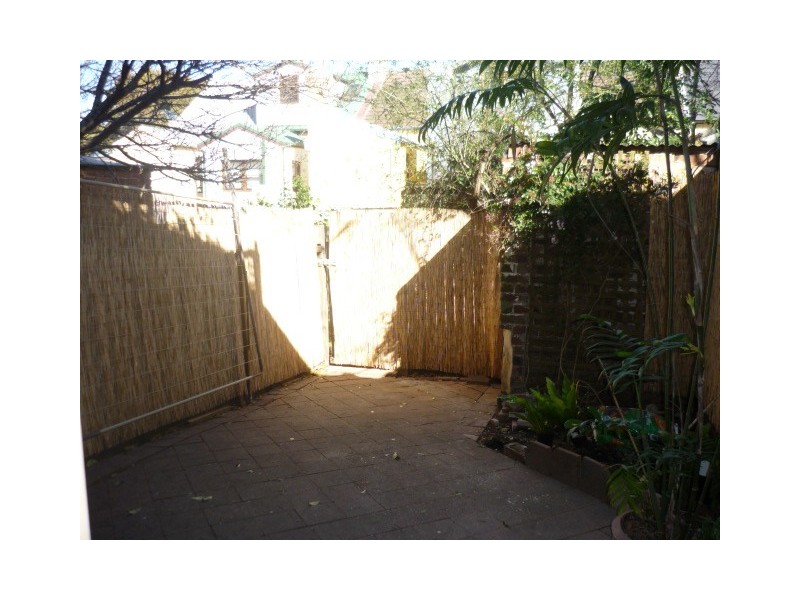 56 Baltic Street, Newtown NSW 2042