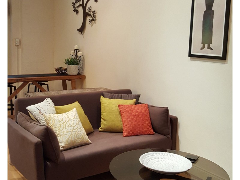 3/13-21 Abercrombie Street, Chippendale NSW 2008