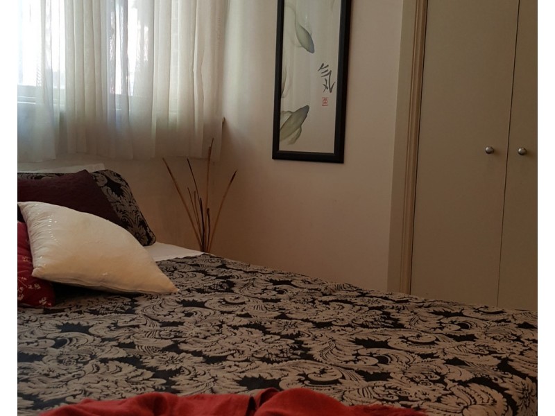 3/13-21 Abercrombie Street, Chippendale NSW 2008