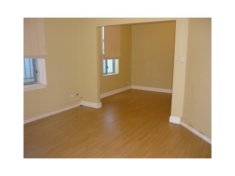 87 Hutchinson Street, St Peters NSW 2044