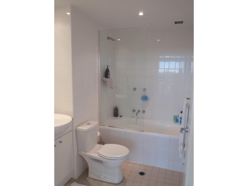 1302/221 Sydney Park Road, Erskineville NSW 2043