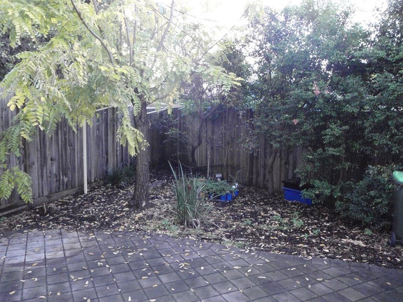 9 Concord Street, Erskineville NSW 2043
