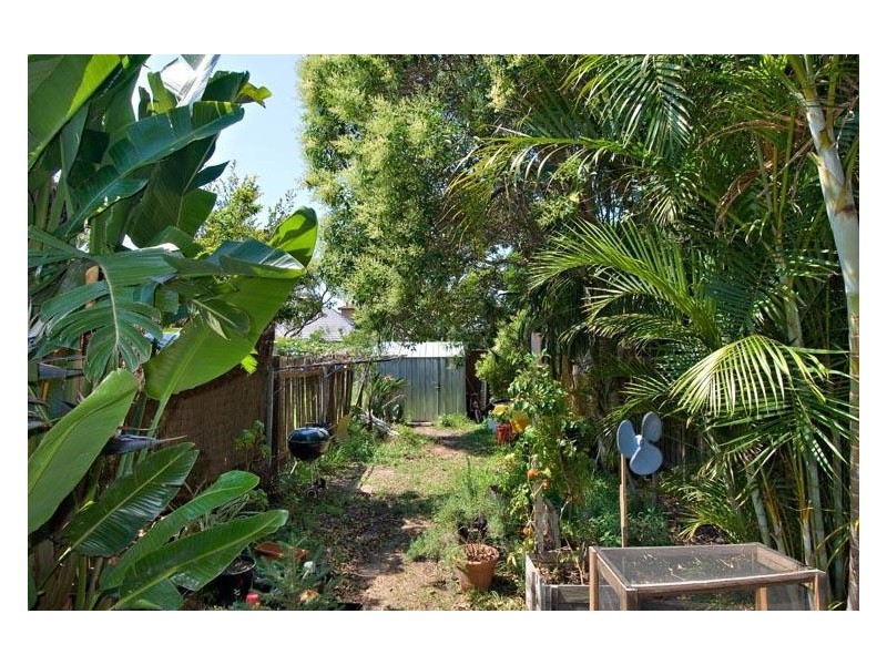 44 Wells Street, Newtown NSW 2042