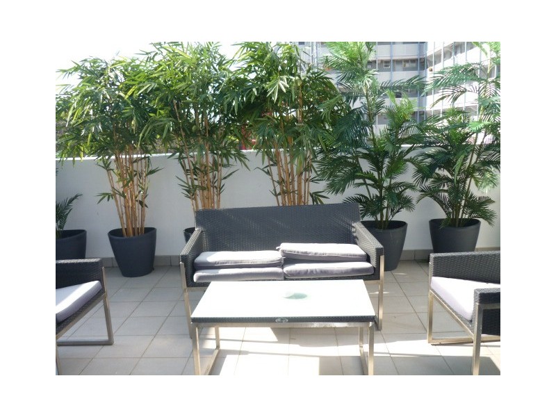 8/23 Lambert Street, Camperdown NSW 2050