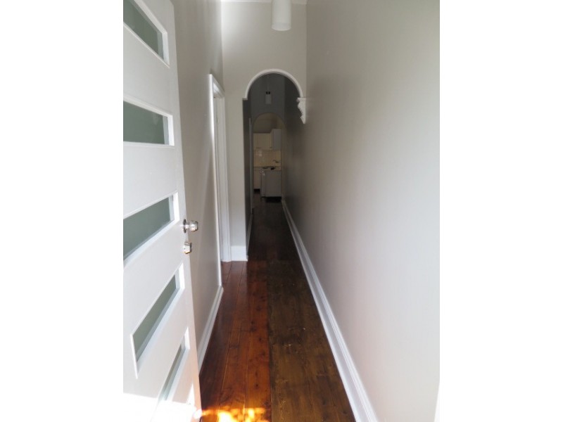 48 Hutchinson Street, St Peters NSW 2044