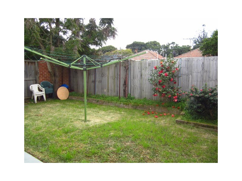 37 Maida Street, Lilyfield NSW 2040