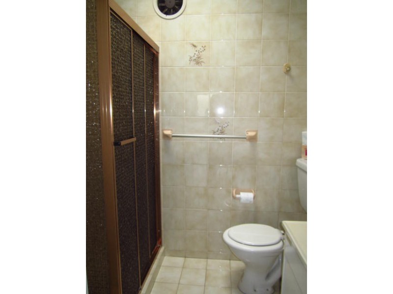 37 Maida Street, Lilyfield NSW 2040