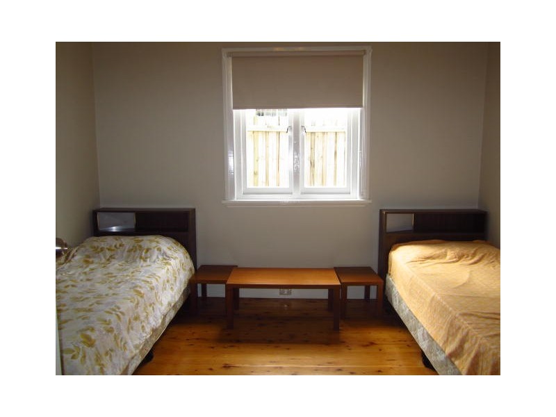 37 Maida Street, Lilyfield NSW 2040