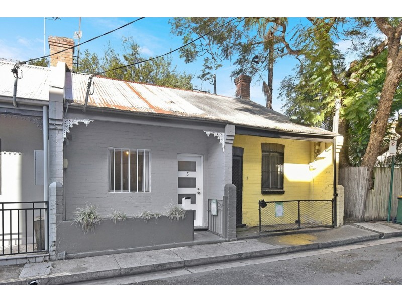 3 Ada Street, Erskineville NSW 2043