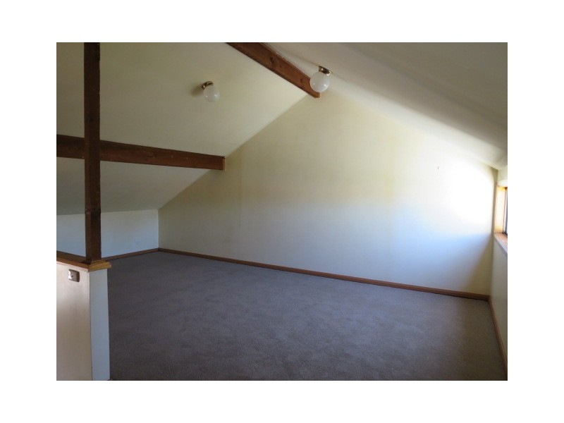 37 Alfred Street, Lilyfield NSW 2040