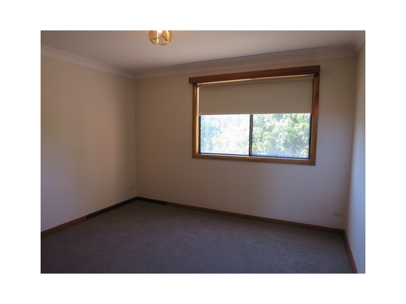 37 Alfred Street, Lilyfield NSW 2040