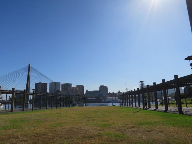 41A Forsyth Street, Glebe NSW 2037