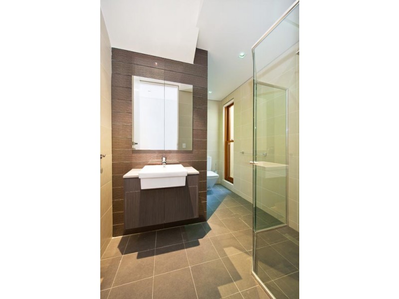 117 Chelmsford Street, Newtown NSW 2042