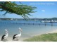 Davistown NSW 2251