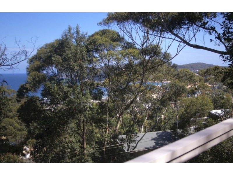 North Avoca NSW 2260