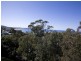 113 Scenic Hwy, Terrigal NSW 2260