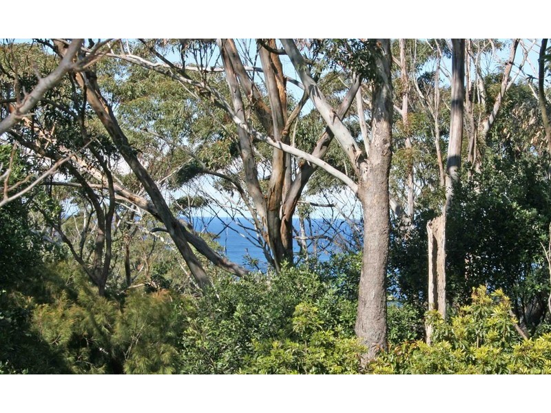 112 Scenic Highway, Terrigal NSW 2260