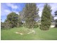 59  (RMB 531) Tumbi Road, Wamberal NSW 2260