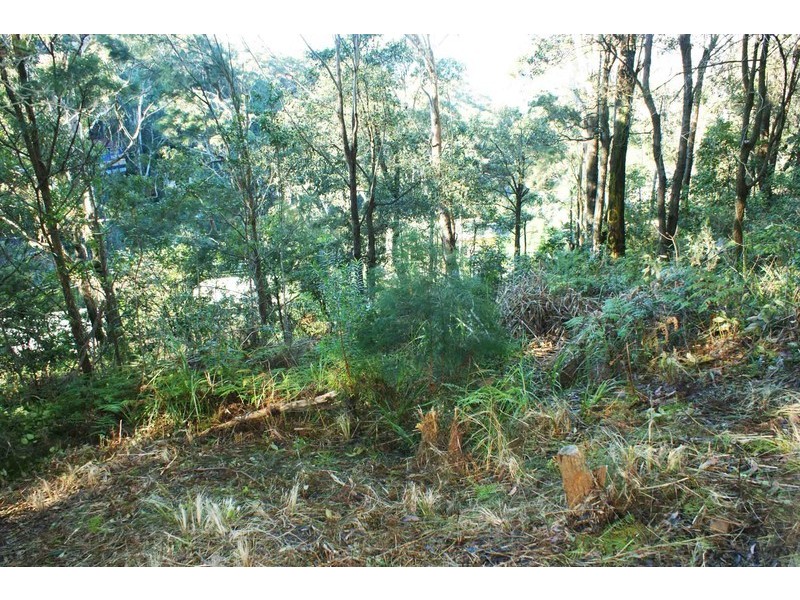 4 Surf Rider Ave, North Avoca NSW 2260