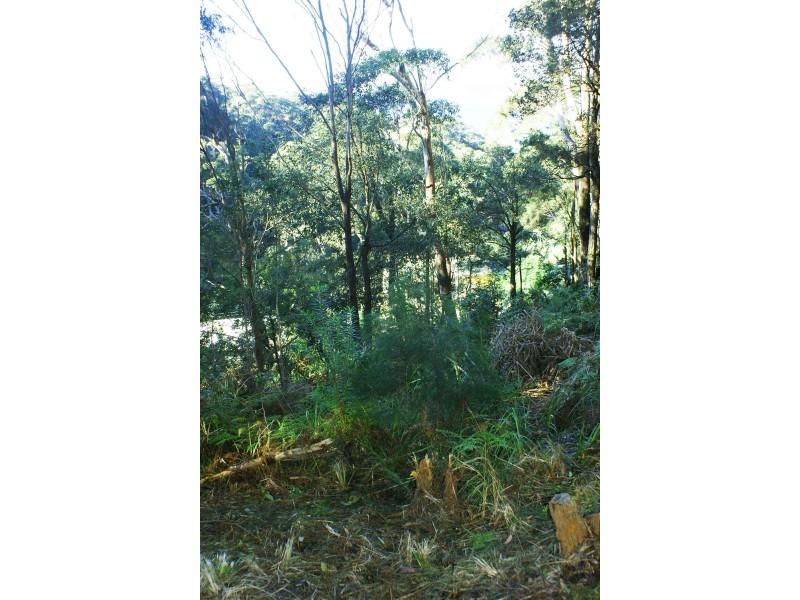 4 Surf Rider Ave, North Avoca NSW 2260