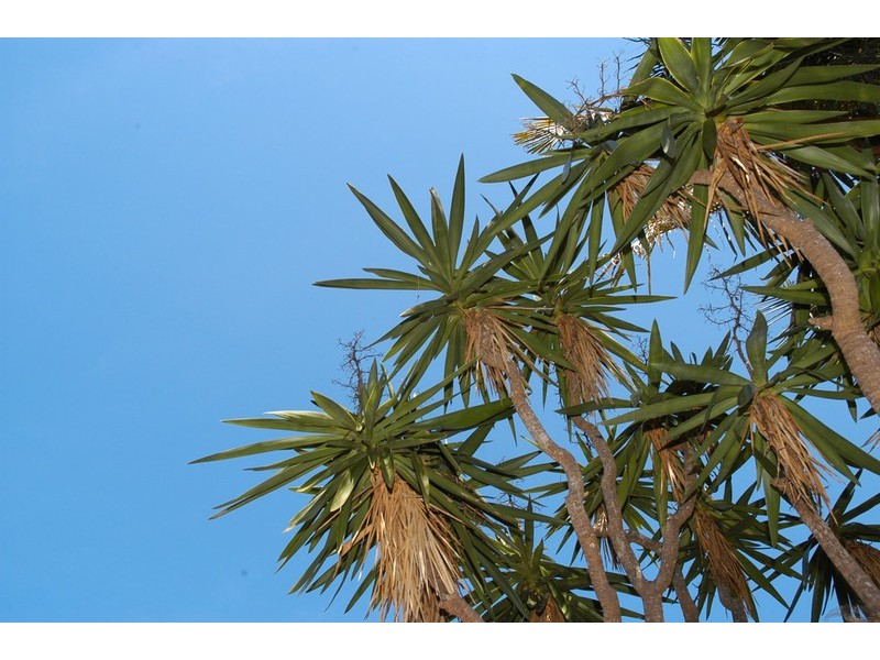 121 Lake shore Drive, North Avoca NSW 2260