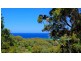 198 Scenic Highway, Terrigal NSW 2260