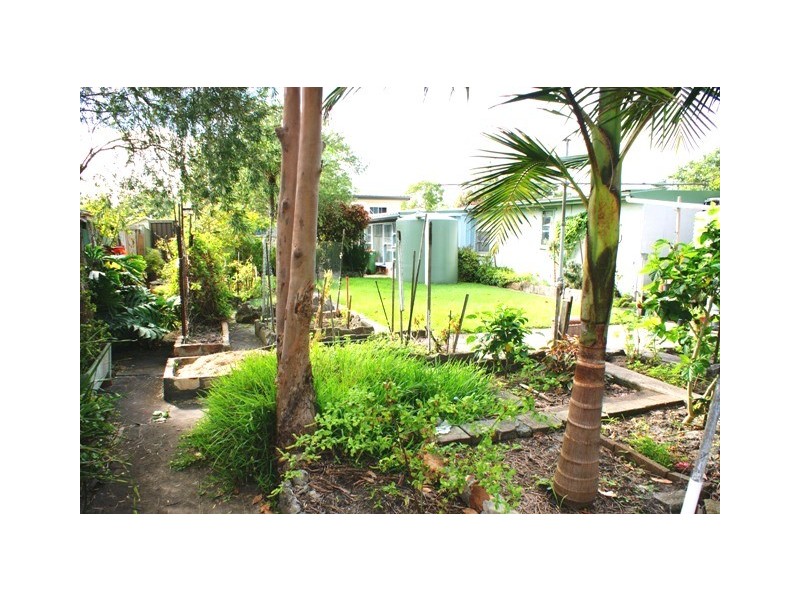 52 Mirreen Avenue, Davistown NSW 2251
