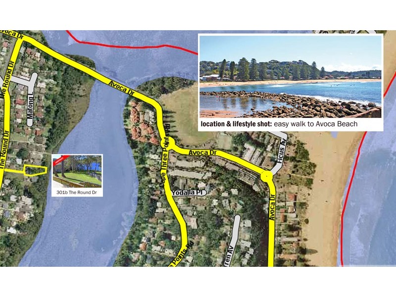 301b The Round Drive, Avoca Beach NSW 2251