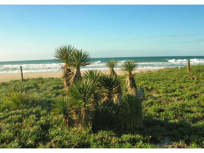 31 David St, Old Bar NSW 2430