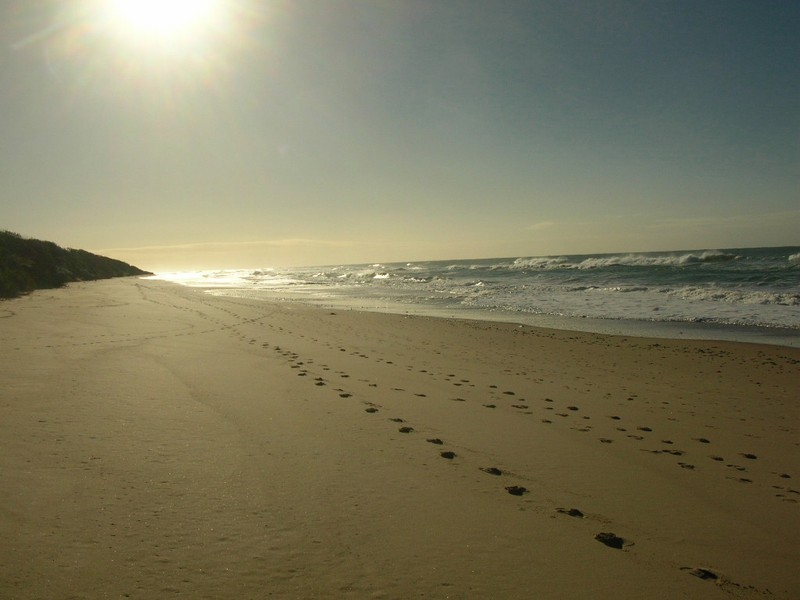 31 David St, Old Bar NSW 2430