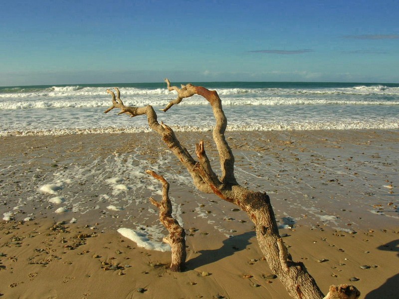 31 David St, Old Bar NSW 2430