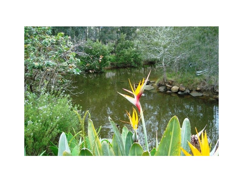 Unit 7, No.63 Davis Avenue, Davistown NSW 2251