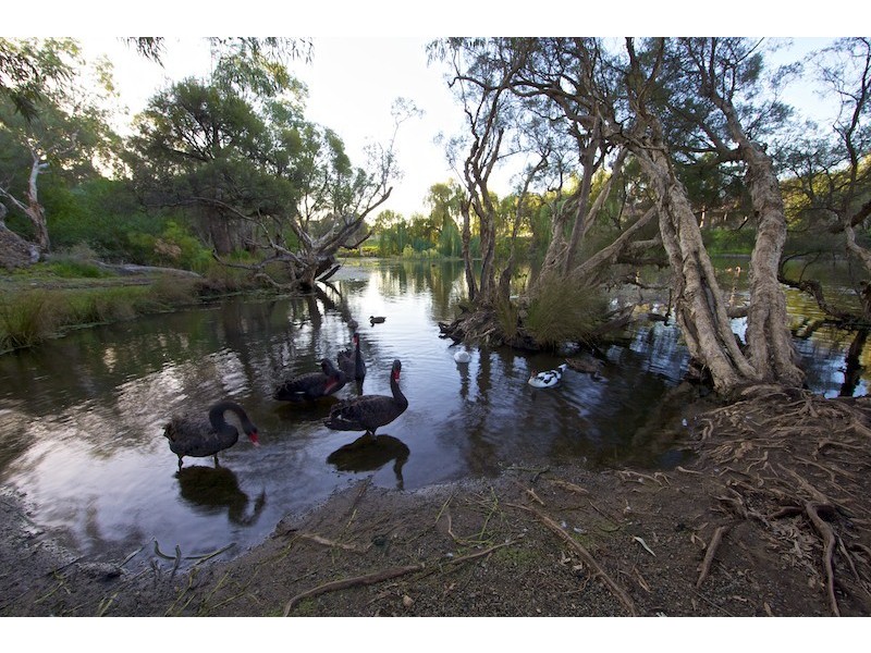 6 Letsom Way, Langford WA 6147