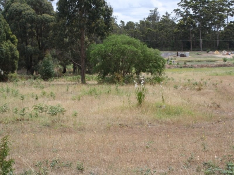 57 Somerville St, Manjimup WA 6258