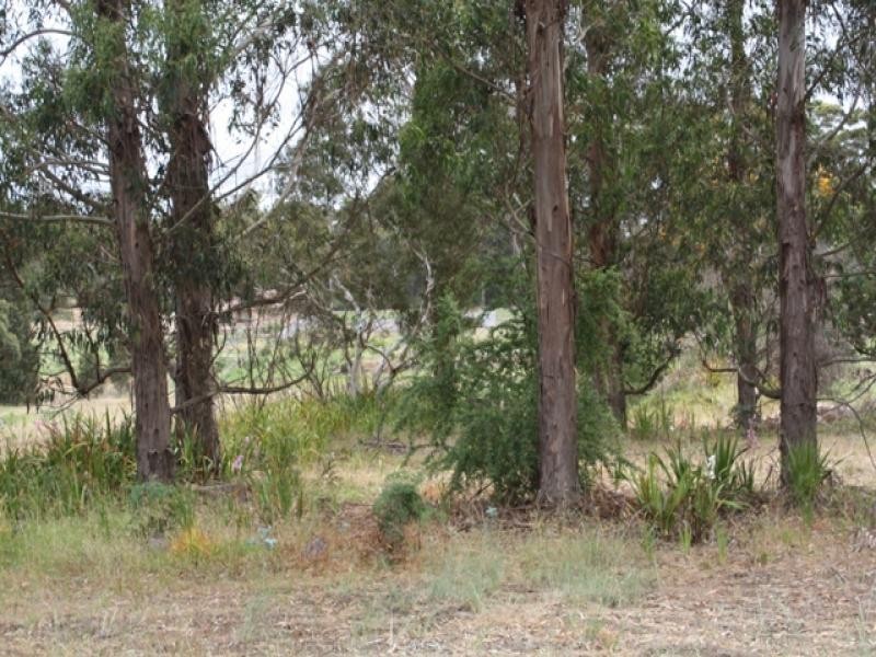 57 Somerville St, Manjimup WA 6258