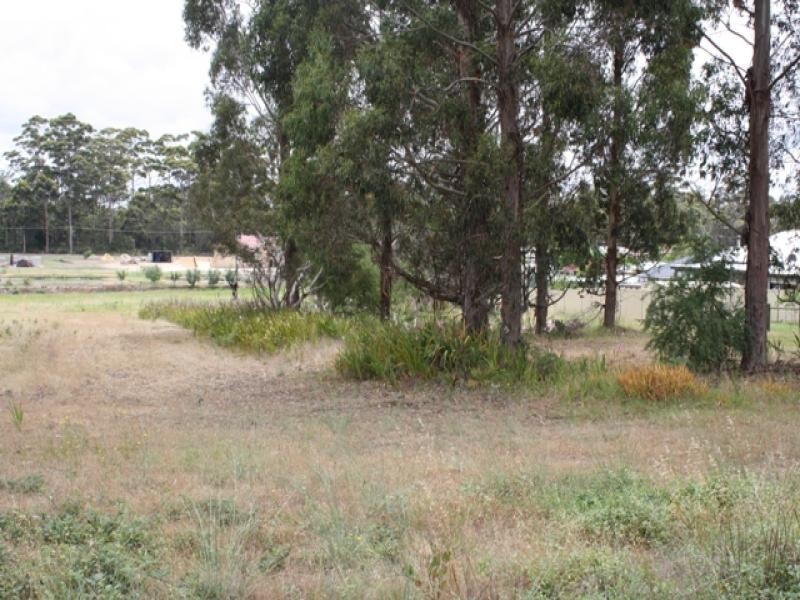 57 Somerville St, Manjimup WA 6258