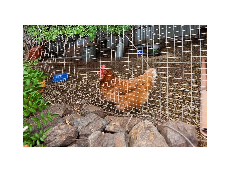 11 Prunster Road, York WA 6302