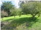 14 Hawks Lane, Eaglehawk Neck TAS 7179