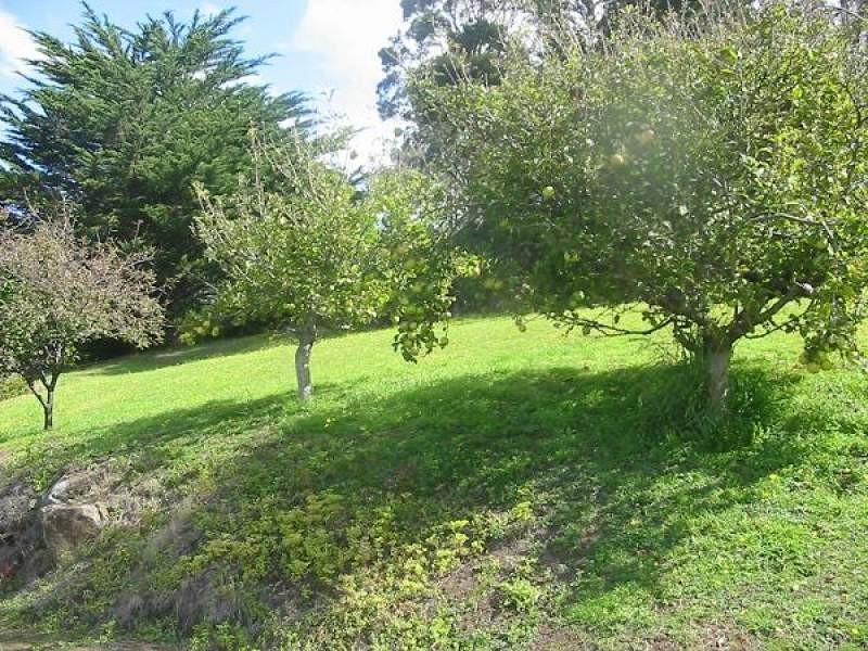 14 Hawks Lane, Eaglehawk Neck TAS 7179