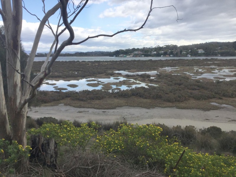 20 Colleen Crescent, Primrose Sands TAS 7173