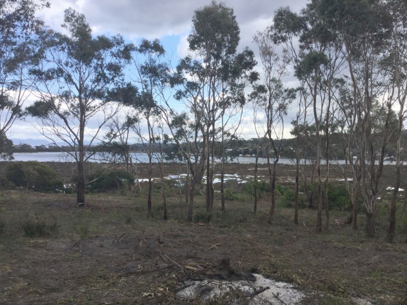 20 Colleen Crescent, Primrose Sands TAS 7173