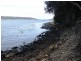 162 Apex Point Road, White Beach TAS 7184