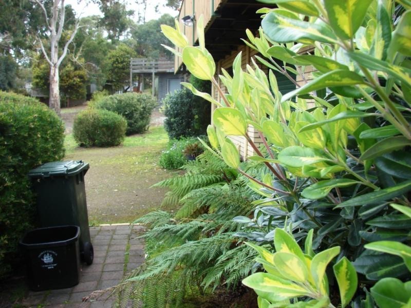 162 Apex Point Road, White Beach TAS 7184