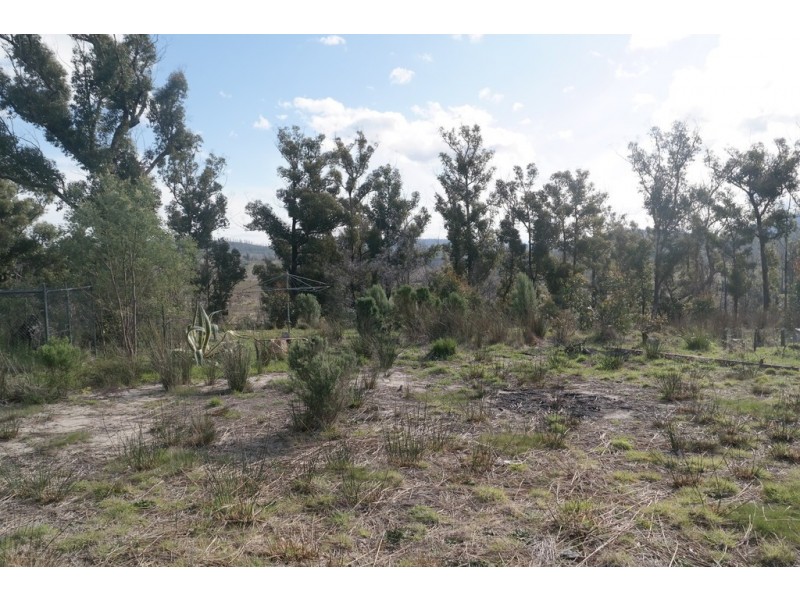 2434 Arthur Highway, Copping TAS 7174