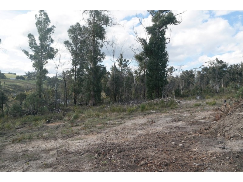 2434 Arthur Highway, Copping TAS 7174