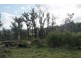 2434 Arthur Highway, Copping TAS 7174