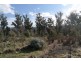 2434 Arthur Highway, Copping TAS 7174