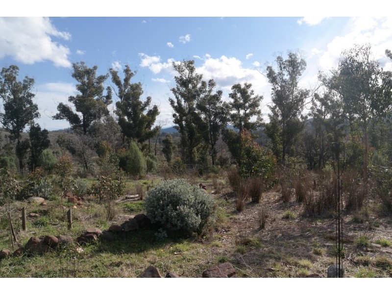 2434 Arthur Highway, Copping TAS 7174