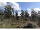 2434 Arthur Highway, Copping TAS 7174